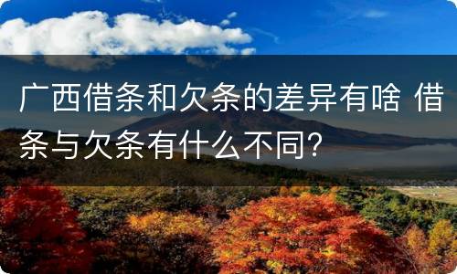 广西借条和欠条的差异有啥 借条与欠条有什么不同?