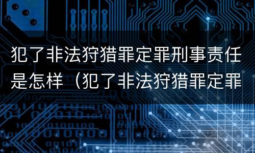 犯了非法狩猎罪定罪刑事责任是怎样（犯了非法狩猎罪定罪刑事责任是怎样划分的）