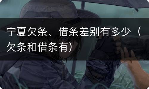 宁夏欠条、借条差别有多少（欠条和借条有）