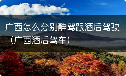 广西怎么分别醉驾跟酒后驾驶（广西酒后驾车）