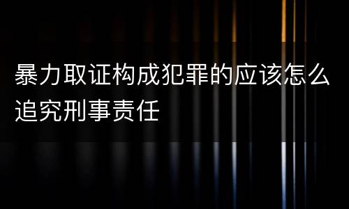 暴力取证构成犯罪的应该怎么追究刑事责任