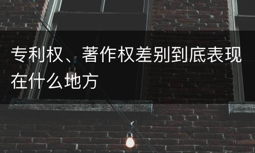 专利权、著作权差别到底表现在什么地方