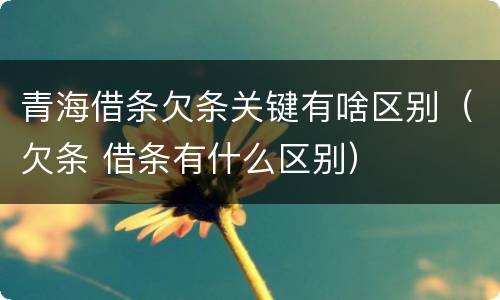 青海借条欠条关键有啥区别（欠条 借条有什么区别）