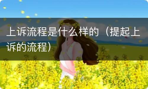 上诉流程是什么样的（提起上诉的流程）
