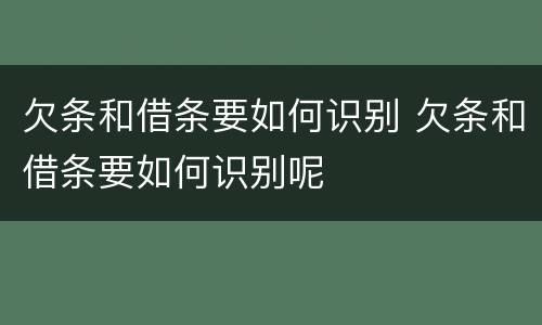 欠条和借条要如何识别 欠条和借条要如何识别呢