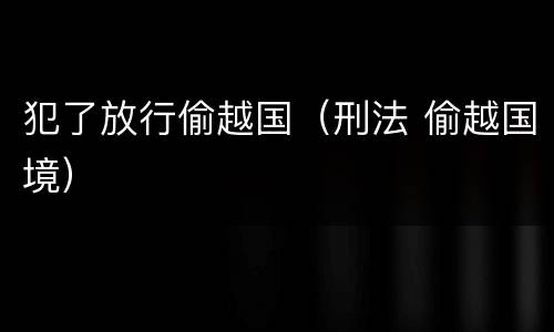 犯了放行偷越国（刑法 偷越国境）