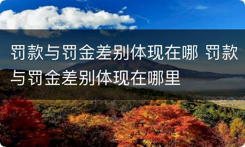 罚款与罚金差别体现在哪 罚款与罚金差别体现在哪里
