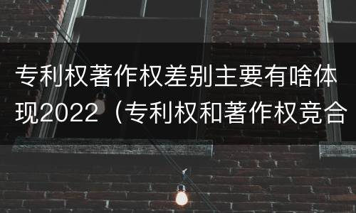 专利权著作权差别主要有啥体现2022（专利权和著作权竞合）