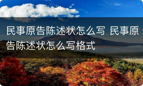 民事原告陈述状怎么写 民事原告陈述状怎么写格式