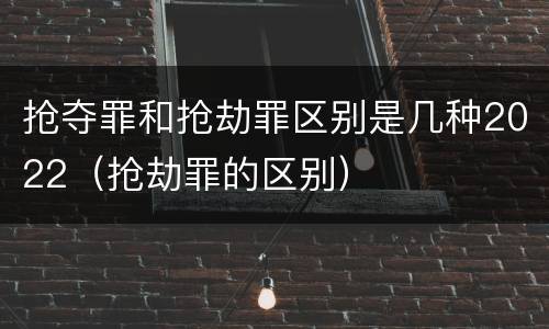 抢夺罪和抢劫罪区别是几种2022（抢劫罪的区别）