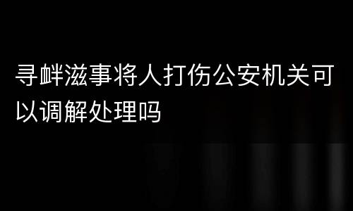 寻衅滋事将人打伤公安机关可以调解处理吗