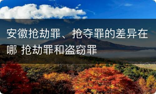 安徽抢劫罪、抢夺罪的差异在哪 抢劫罪和盗窃罪