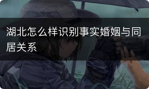 湖北怎么样识别事实婚姻与同居关系