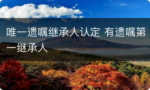 唯一遗嘱继承人认定 有遗嘱第一继承人