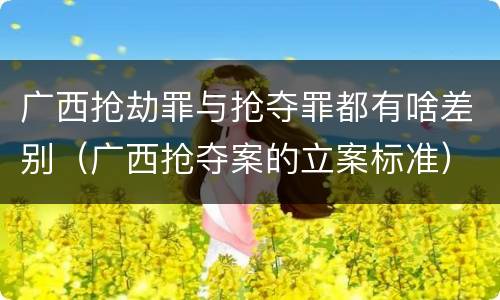 广西抢劫罪与抢夺罪都有啥差别（广西抢夺案的立案标准）