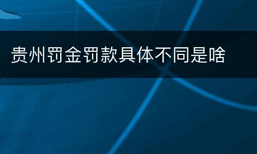 贵州罚金罚款具体不同是啥