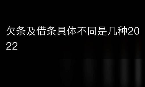 欠条及借条具体不同是几种2022