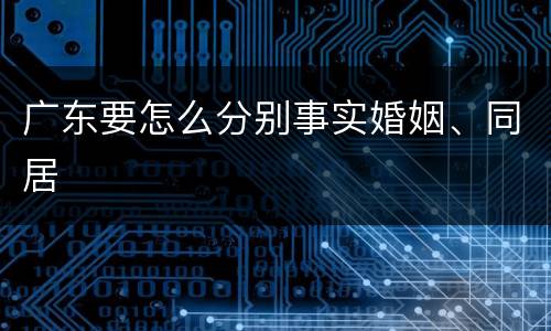 广东要怎么分别事实婚姻、同居
