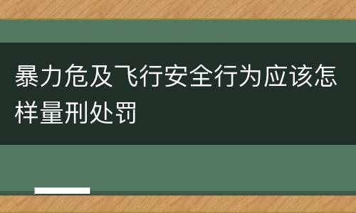 暴力危及飞行安全行为应该怎样量刑处罚
