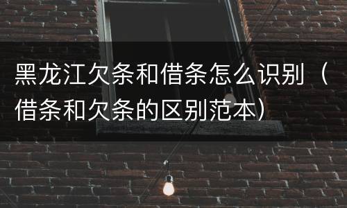黑龙江欠条和借条怎么识别（借条和欠条的区别范本）
