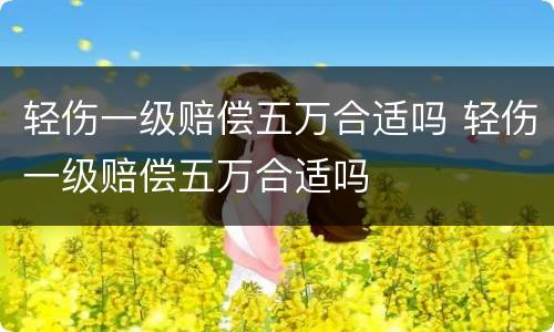 轻伤一级赔偿五万合适吗 轻伤一级赔偿五万合适吗