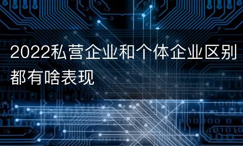2022私营企业和个体企业区别都有啥表现