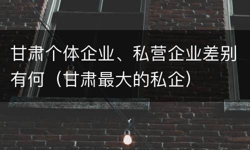 甘肃个体企业、私营企业差别有何（甘肃最大的私企）