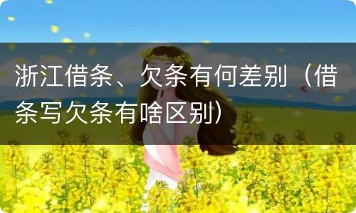 浙江借条、欠条有何差别（借条写欠条有啥区别）
