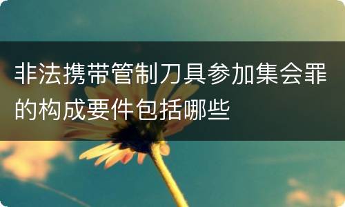 非法携带管制刀具参加集会罪的构成要件包括哪些