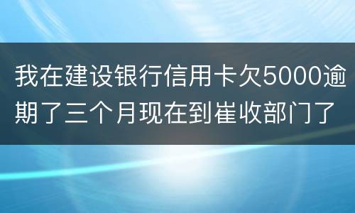 我在建设银行信用卡欠5000逾期了三个月现在到崔收部门了他们要起诉我应该怎么办