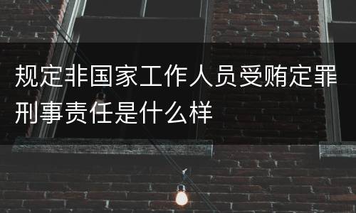 规定非国家工作人员受贿定罪刑事责任是什么样