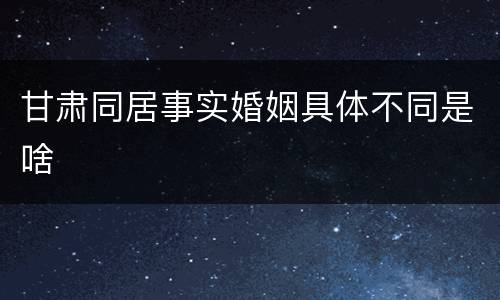 甘肃同居事实婚姻具体不同是啥