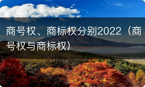 商号权、商标权分别2022（商号权与商标权）
