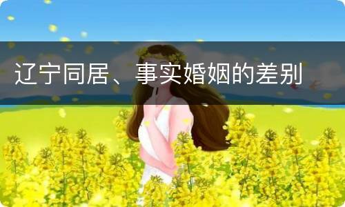 辽宁同居、事实婚姻的差别