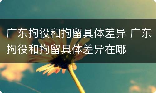 广东拘役和拘留具体差异 广东拘役和拘留具体差异在哪
