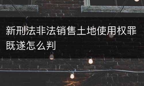 新刑法非法销售土地使用权罪既遂怎么判