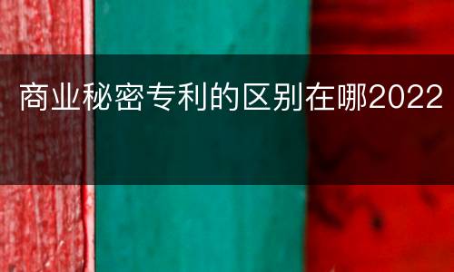 商业秘密专利的区别在哪2022