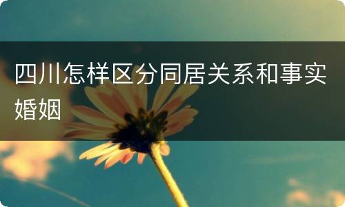 四川怎样区分同居关系和事实婚姻