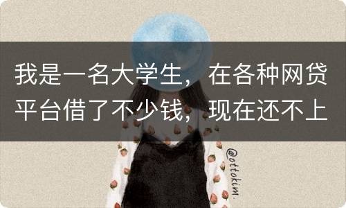我是一名大学生，在各种网贷平台借了不少钱，现在还不上，如果不还会怎么样