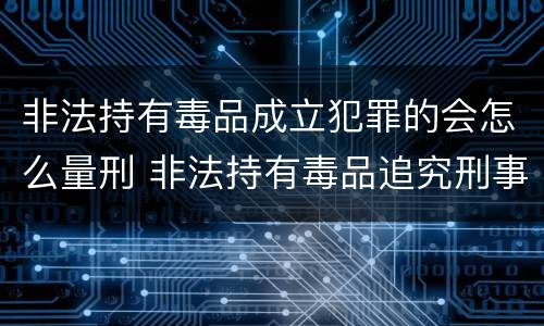 非法持有毒品成立犯罪的会怎么量刑 非法持有毒品追究刑事责任吗