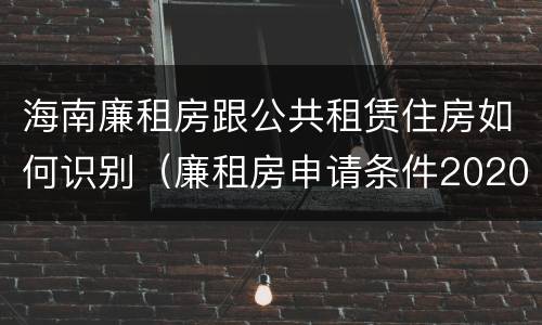 海南廉租房跟公共租赁住房如何识别（廉租房申请条件2020海南）