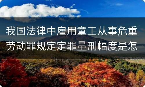 我国法律中雇用童工从事危重劳动罪规定定罪量刑幅度是怎样