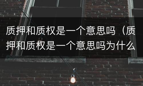 质押和质权是一个意思吗（质押和质权是一个意思吗为什么）