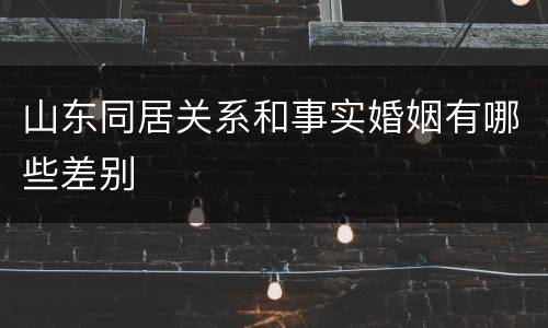 山东同居关系和事实婚姻有哪些差别
