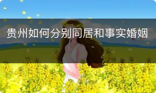贵州如何分别同居和事实婚姻