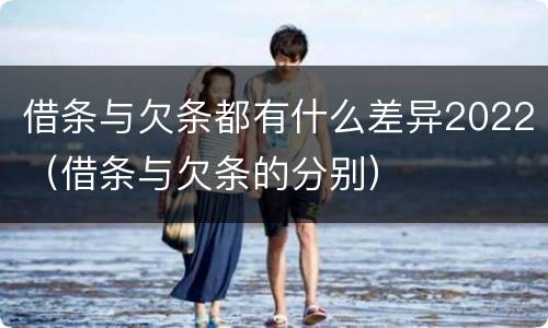 借条与欠条都有什么差异2022（借条与欠条的分别）