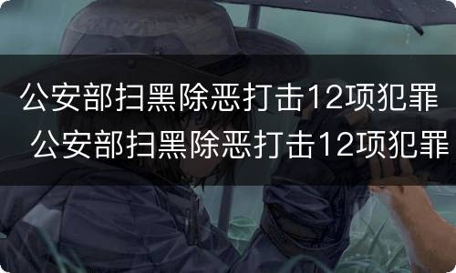公安部扫黑除恶打击12项犯罪 公安部扫黑除恶打击12项犯罪活动