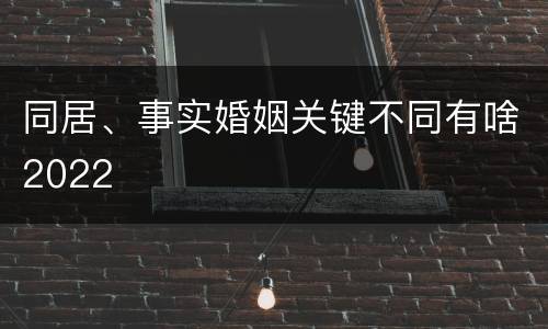 同居、事实婚姻关键不同有啥2022