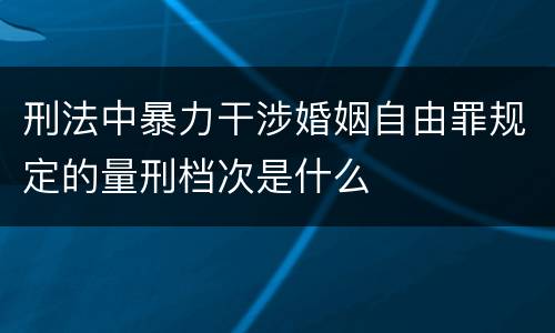 刑法中暴力干涉婚姻自由罪规定的量刑档次是什么
