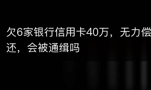 欠6家银行信用卡40万，无力偿还，会被通缉吗